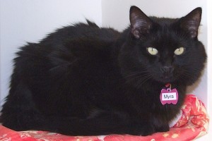 Picture of Myra