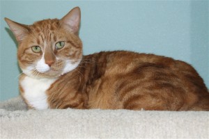Picture of Squiggy