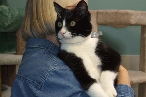 Picture of Murphy