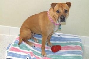 Picture of Maggie
