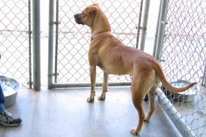 Picture of Maggie