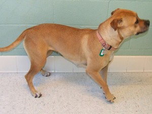 Picture of Maggie