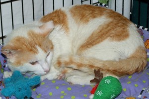 Picture of Suttles