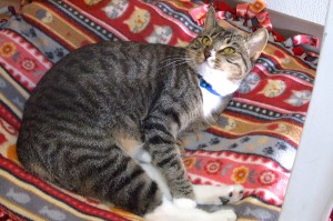 Picture of Sara