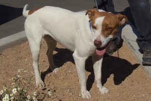 Picture of Lila