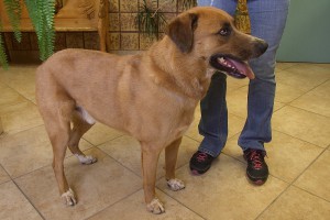 Picture of Clyde