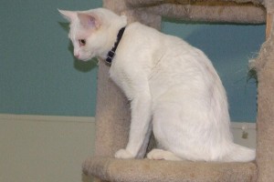 Picture of Katy Joe