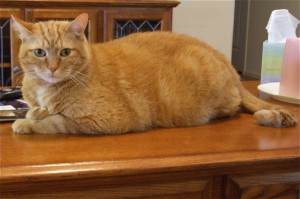 Picture of Billy