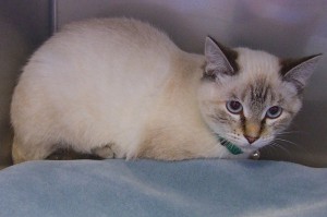 Picture of Lucy
