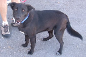 Picture of Wolfgang
