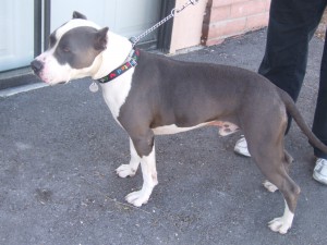 Picture of Alaka