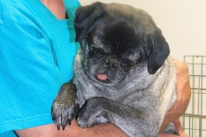 Picture of BB