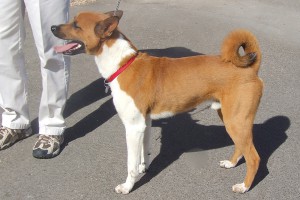 Picture of Dean