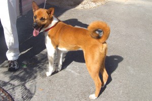 Picture of Dean