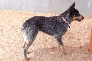 Picture of Chloe