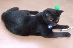 Picture of Colby