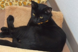 Picture of Colby