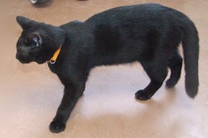 Picture of Colby