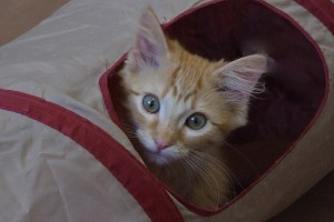 Picture of Betty