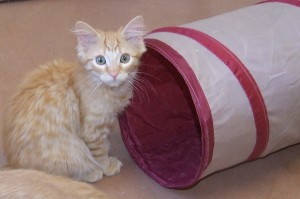 Picture of Betty