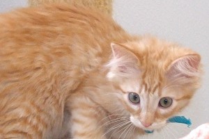 Picture of Betty