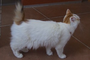 Picture of Nell