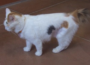 Picture of Nell