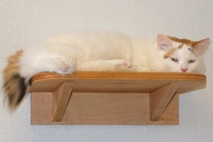 Picture of Nell