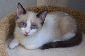 Picture of Wilma