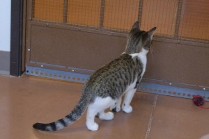 Picture of Jammie