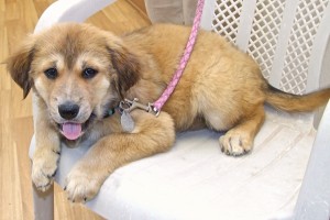 Picture of Charity