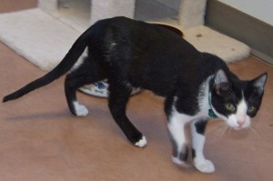 Picture of Gabriel
