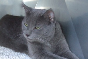 Picture of Jeffrey