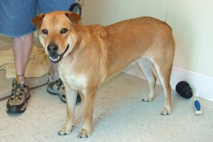 Picture of Lucie Lu