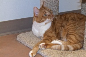 Picture of Tubby