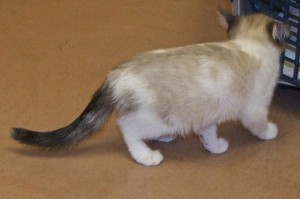 Picture of Wilma