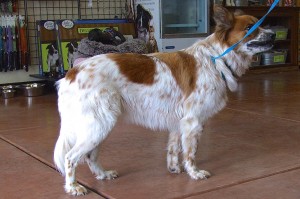Picture of Buster Brown