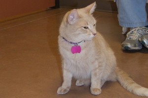 Picture of Henry