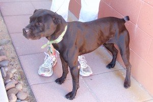 Picture of Lucy