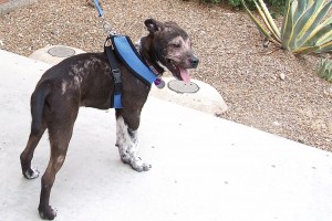 Picture of Maggie Mae