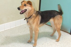 Picture of Sasha Jo