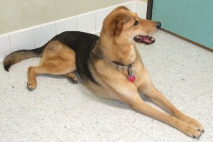 Picture of Sasha Jo