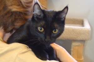 Picture of Sassy