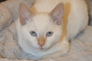 Picture of Janie