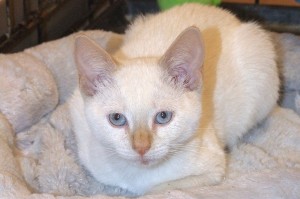 Picture of Janie