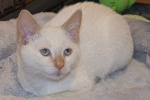 Picture of Janie
