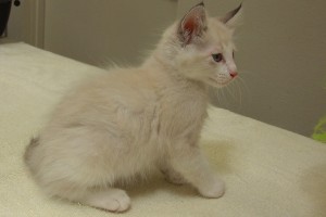 Picture of Jerry