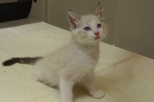 Picture of Jerry