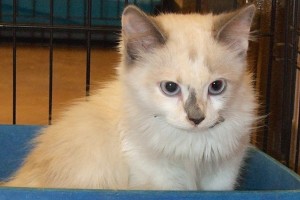 Picture of Kaiya