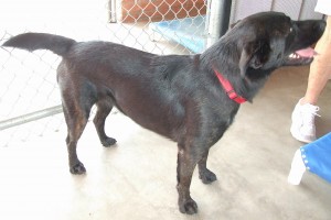 Picture of Lexie